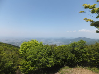 DSCF3374