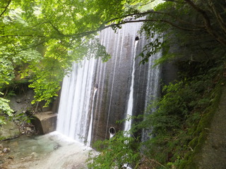 DSCF3459