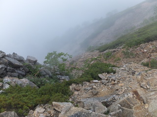DSCF3603