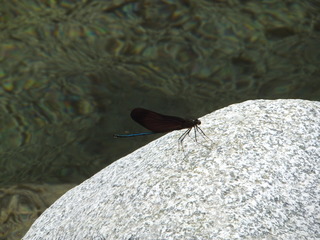 DSCF3448