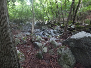 DSCF3458