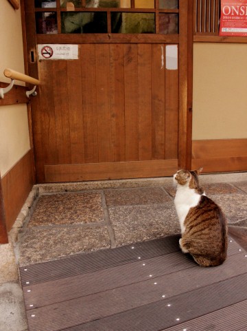 【顔文字】ただいま(54個) - かわいい・シンプル・バーン