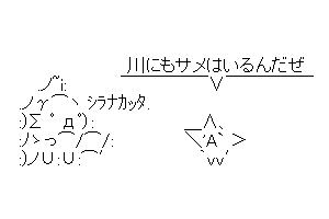 【半漁人】陸なら安全だね！