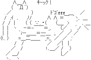 【トンファー】俺の持ってるコレ、どうやって使えばいいの?