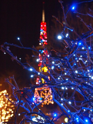 【顔文字】冬(51個) - かわいい・シンプル・クリスマス