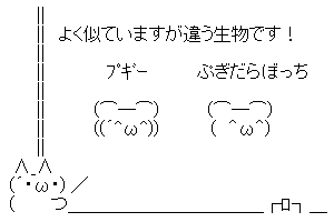 【斉藤またんき】またんき党首！政党交付金を狙うでスw