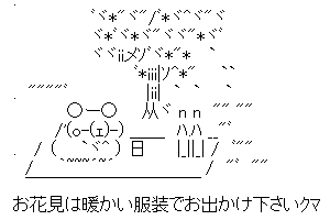 【癒し系のかわいいAA】お花見は暖かい服装でお出かけ下さいクマ
