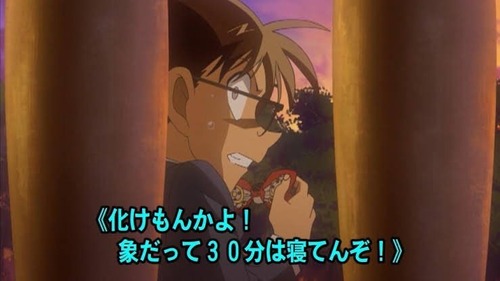 【名探偵コナン】小五郎のおっちゃん、象が30分寝る麻酔を打たれていた