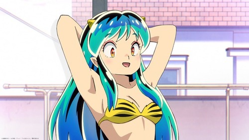 530271