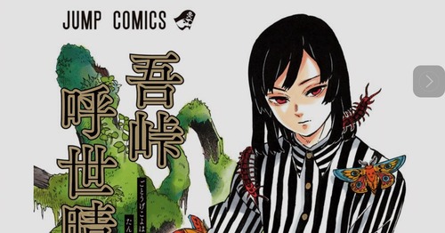 吾峠呼世晴ってもう一作くらい漫画描きそうだよな