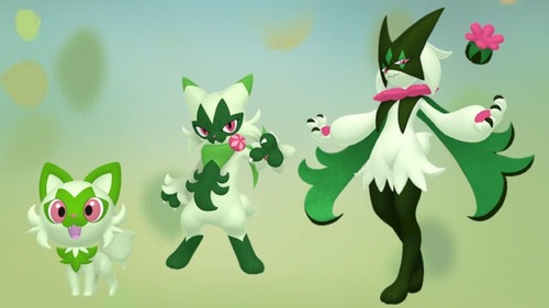 ポケモンってほとんどが進化前のほうが人気だよな