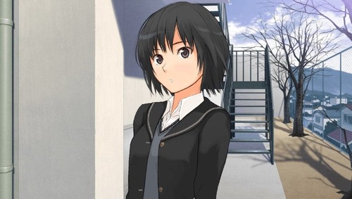 アマガミの七咲ってなんであんな人気あったの？