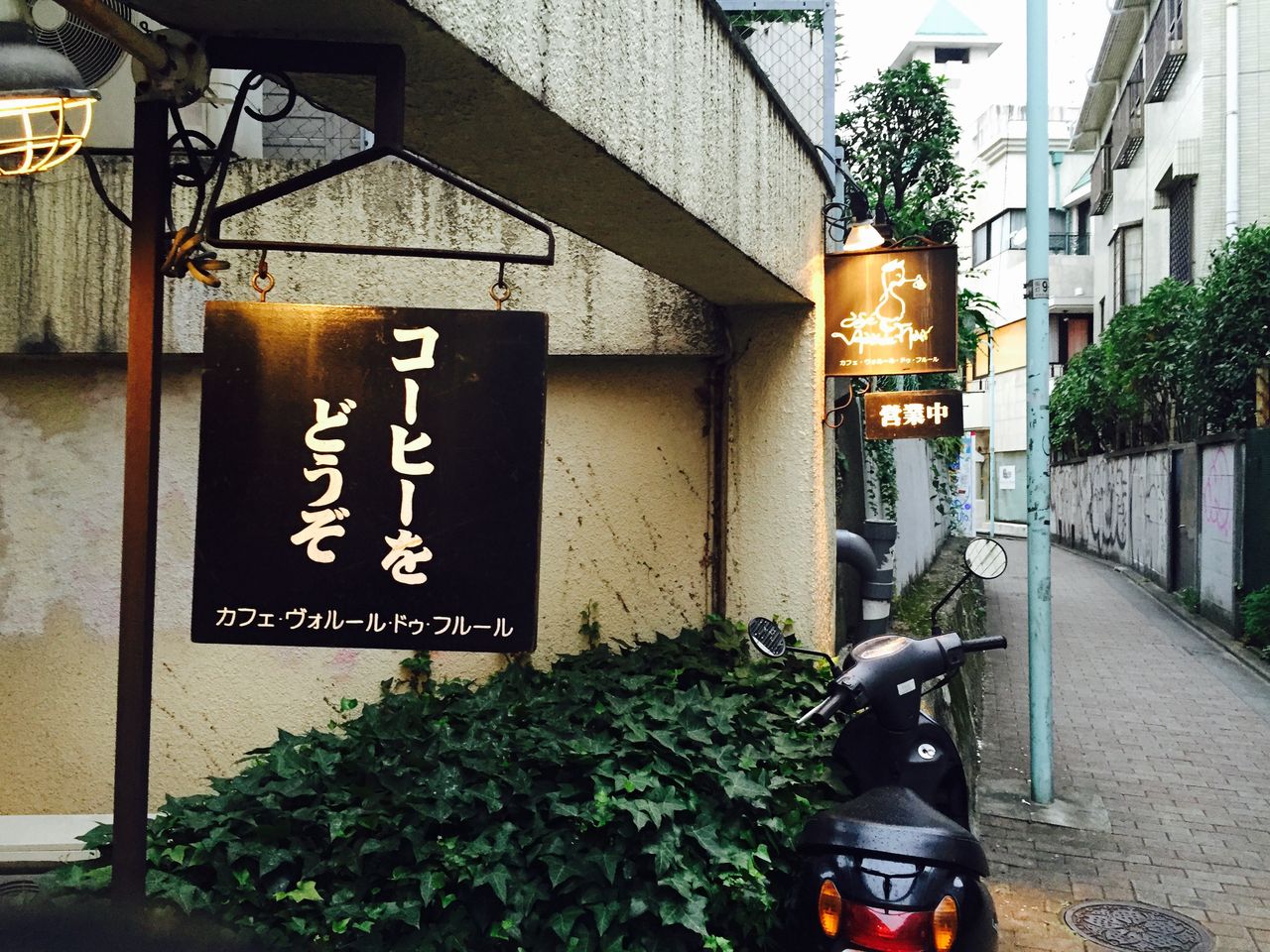 原宿 隠れ家 カフェ 東京 渋谷を美味しく楽しく生きていく 東京 渋谷 神奈川食べ歩き