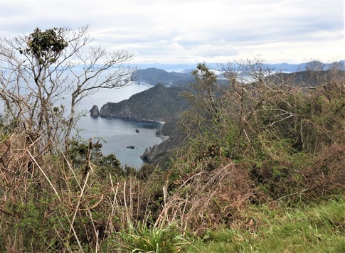高山山頂 青海島 (13)