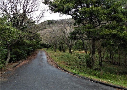 高山 青海島 (3)