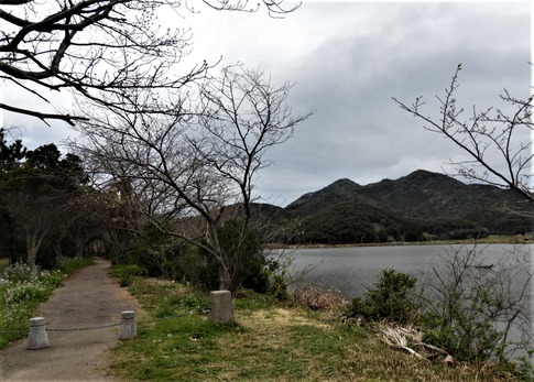 高山 青海島 (2)