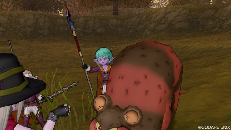 偽りのローヌ樹林帯で名声値稼ぎ ドラクエ１０冒険日記