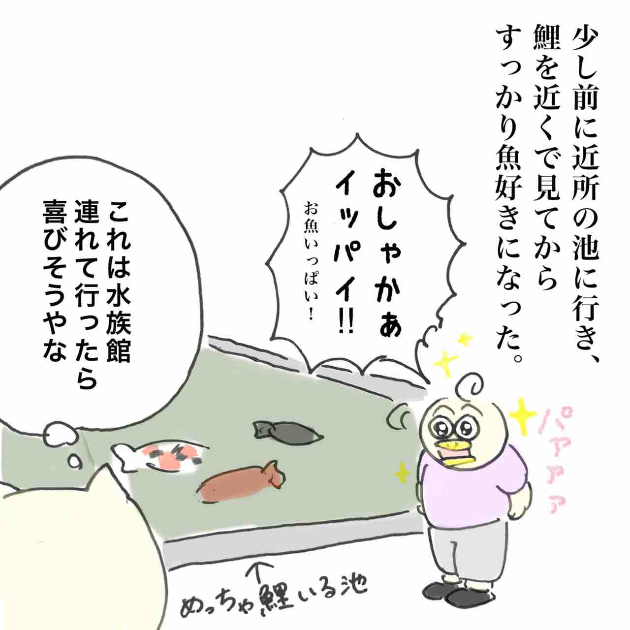 コチコーと水族館 Aやんのええやん ブログ Powered By ライブドアブログ