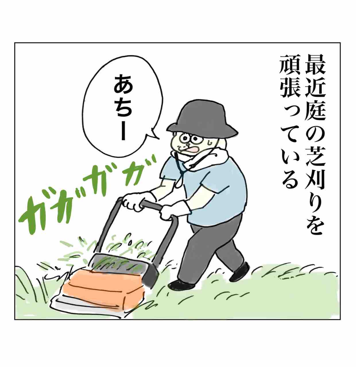 鈍臭い奴らの庭仕事 Aやんのええやん ブログ Powered By ライブドアブログ