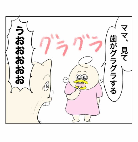 遂に永久歯が生えてきたコチコー