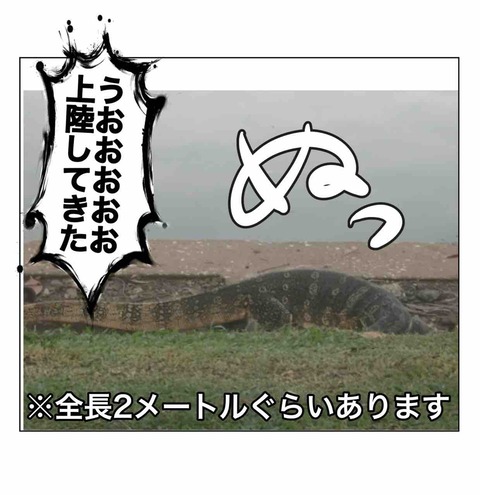 妹とバックパッカー10