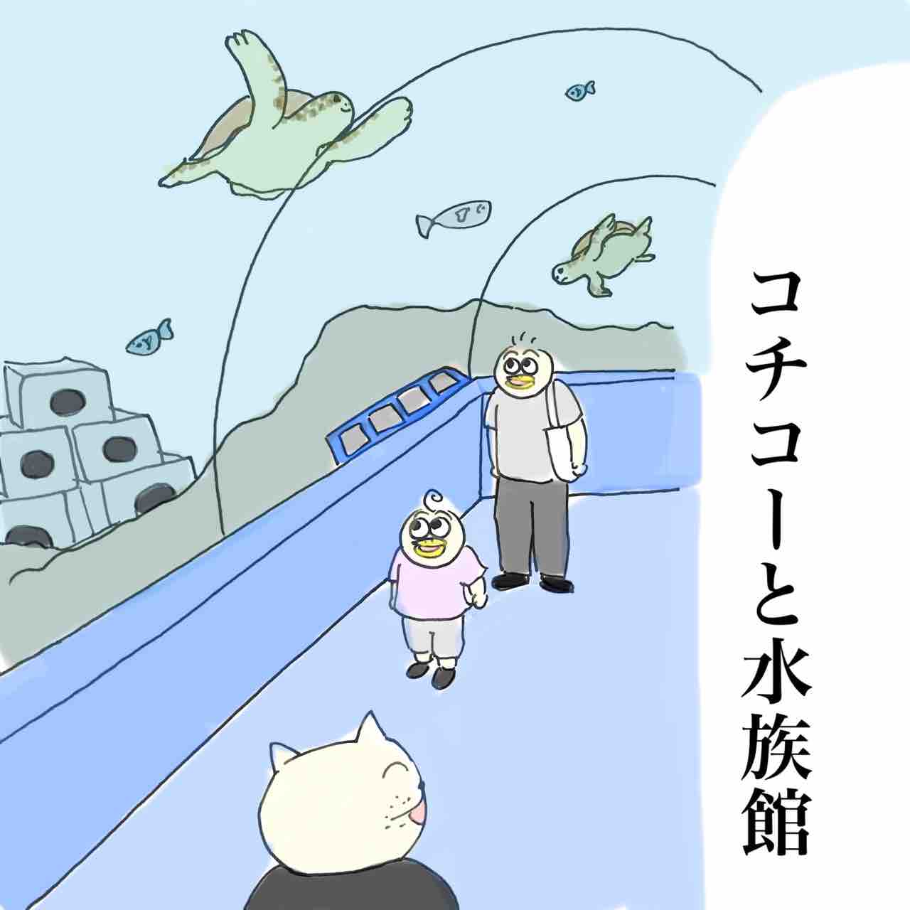 コチコーと水族館 Aやんのええやん ブログ Powered By ライブドアブログ