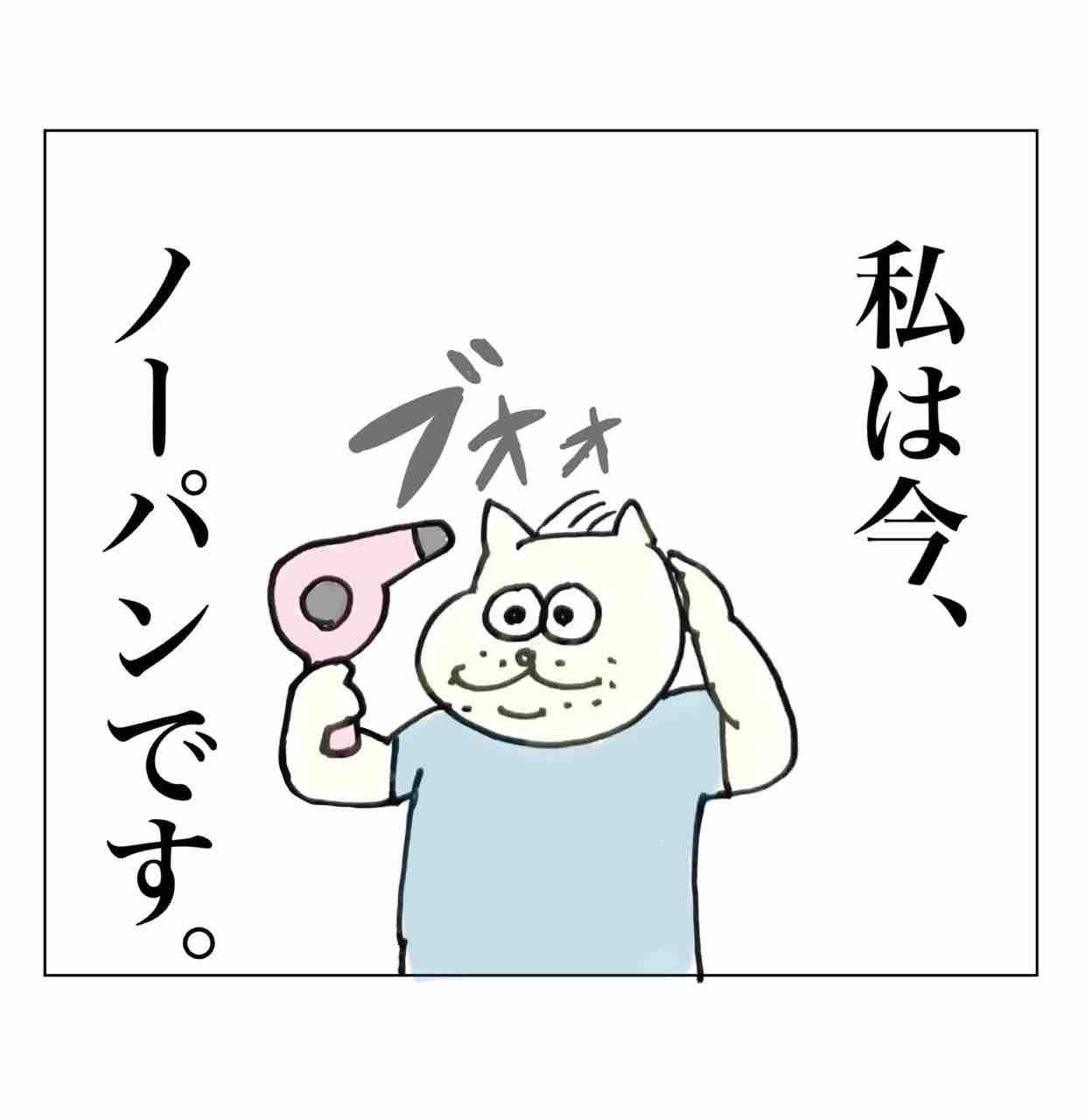 コチコーのお尻探訪🍑 : Aやんのええやん！ブログ Powered by