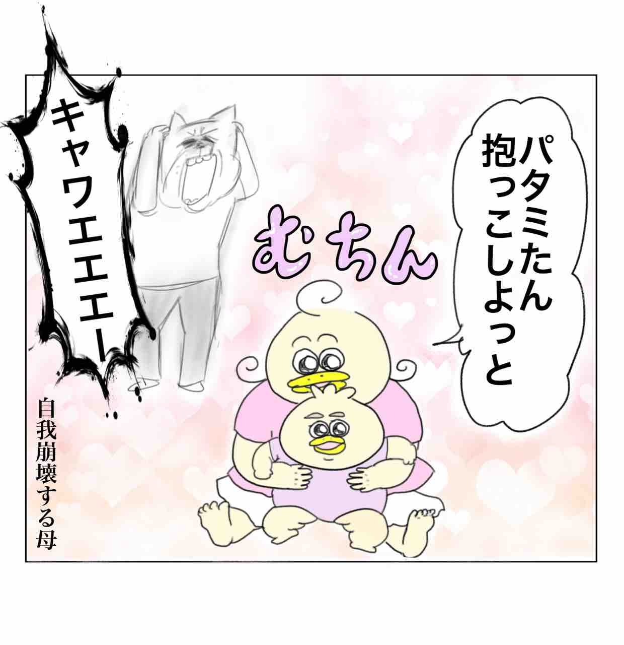 コチコー5歳になりました🎂 : Aやんのええやん！ブログ Powered by