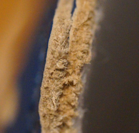 DSC06049_2