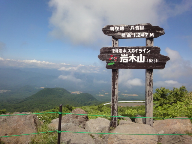 8b1c2233.jpg