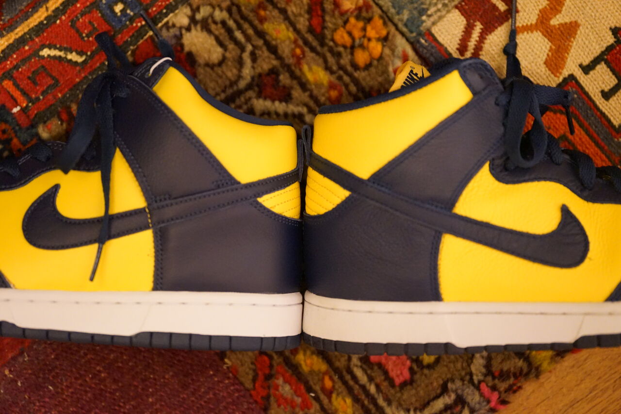 NIKE DUNK Hi SP 