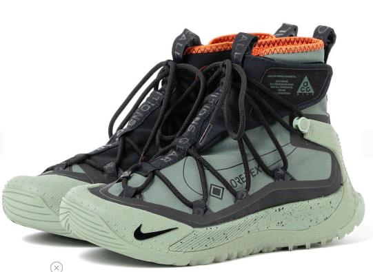 NIKE ACG AIR TERRA ANTARKTIK 29㎝