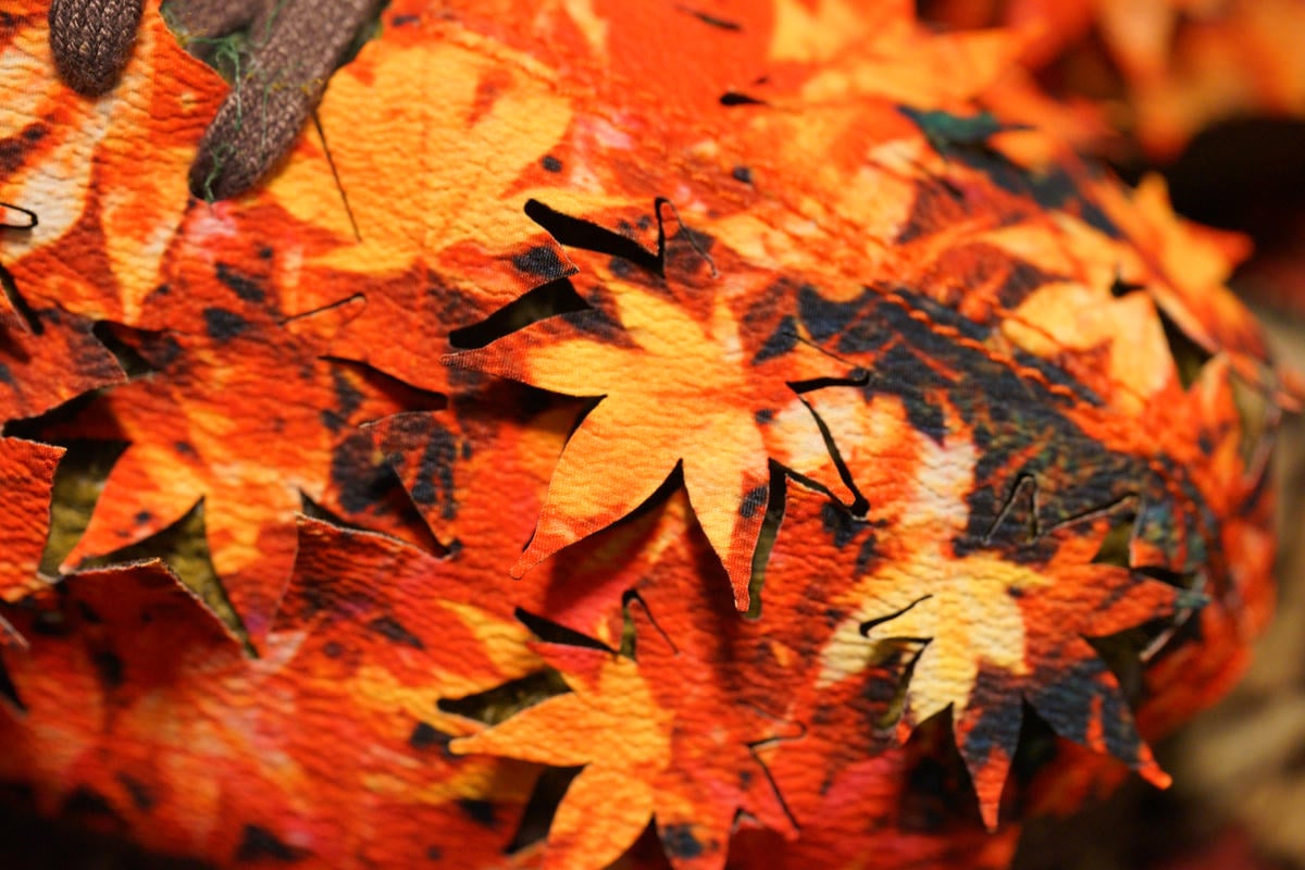 表側はプリントのおかげでより紅葉のように見える。