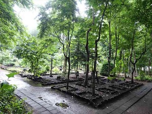 DSC09326_R