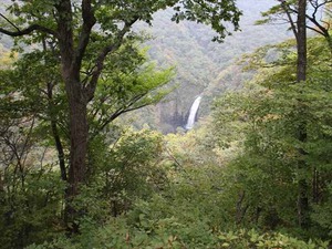 IMG_1038_R