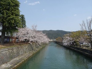 DSC09296_R