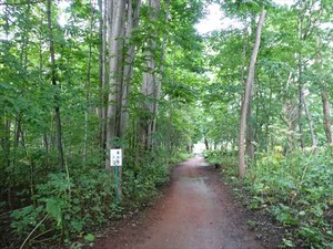 DSC09283_R