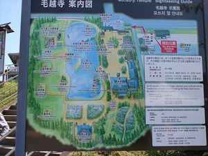 IMG_0926_R