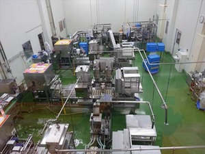 DSC08493_R