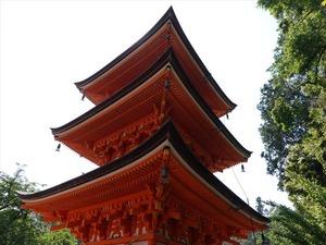 DSC03134_R