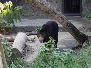 DSC05836_R
