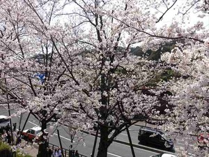 DSC09329_R