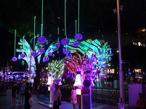 DSC08373_R