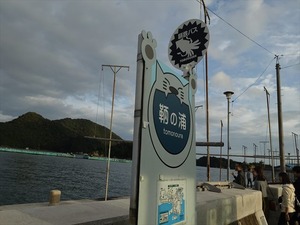 DSC00462_R