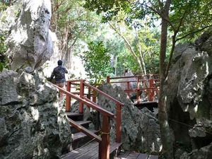 DSC05486_R