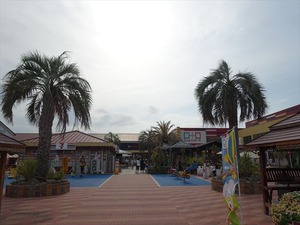 DSC08574_R