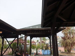 DSC08567_R