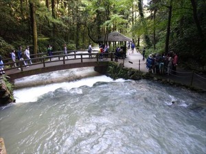 DSC09579_R