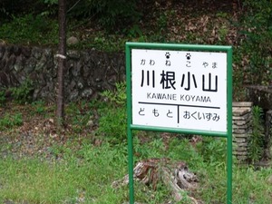 DSC06521_R