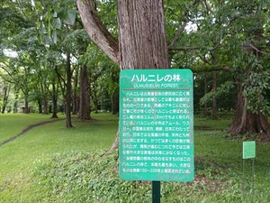 DSC09301_R